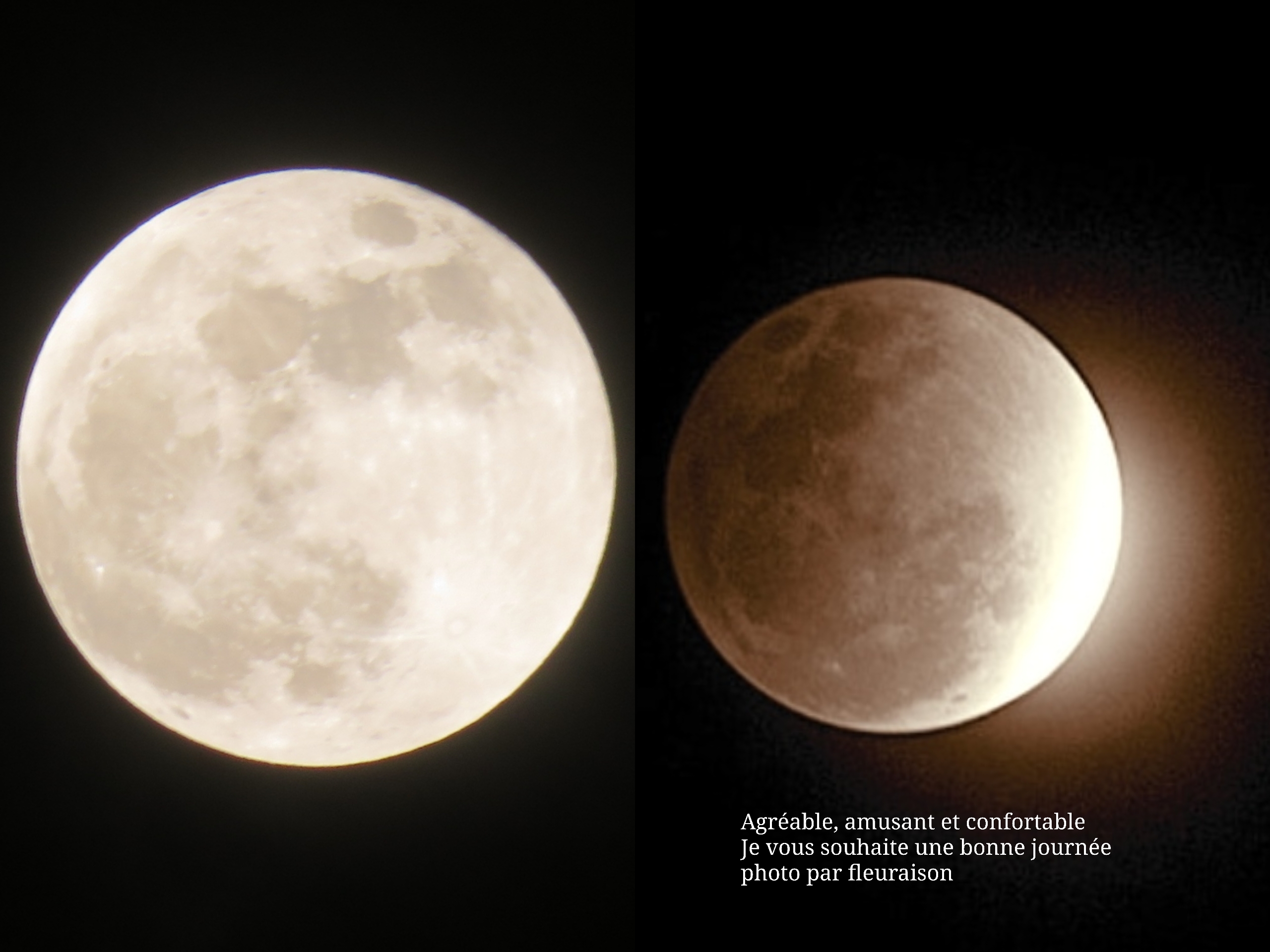 【月の暦】2023年 新月・満月カレンダー